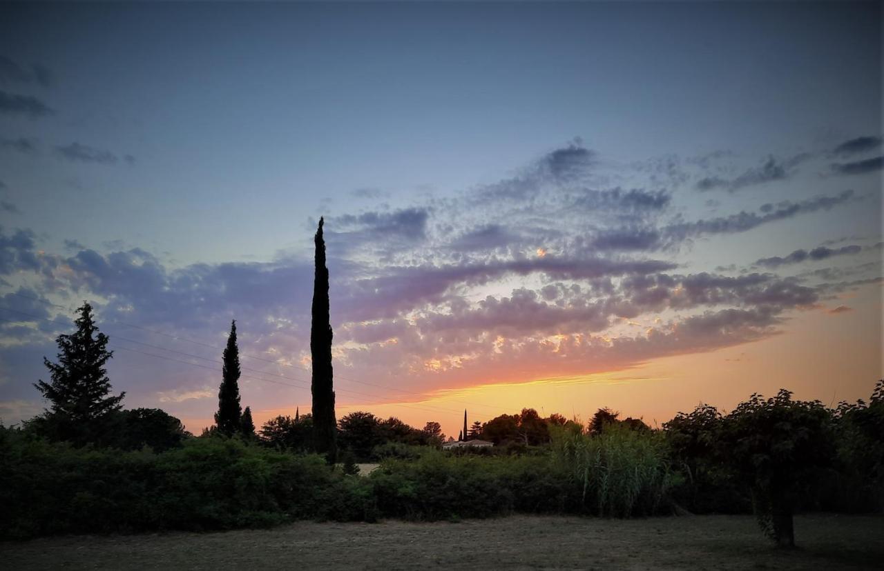 La Maison Du Chemin Des Prairies Morieres-les-Avignon Bagian luar foto